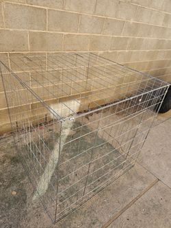 Chicken Cage