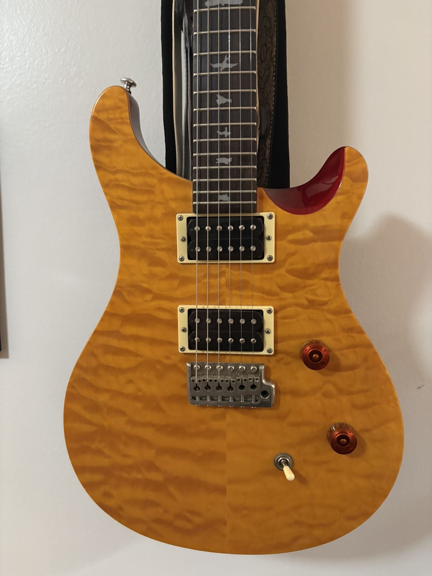 PRS 25th Anniversary SE Custom 24