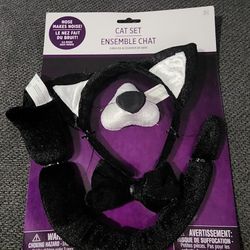 Kitty Accessories 