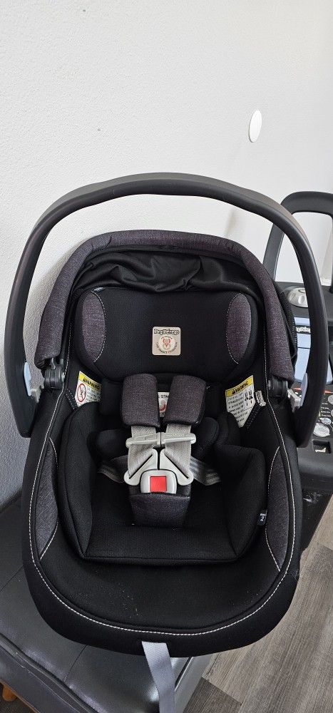 Peg Perego Infant Car Seat