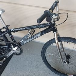 Redline PROLINE Jr Race Bike 