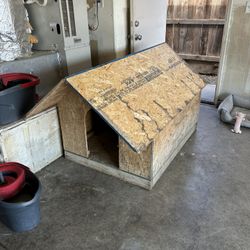 Dog House 