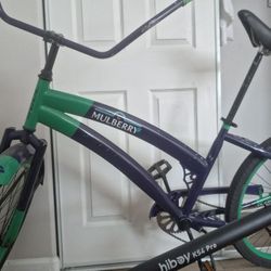 Beach Cruiser