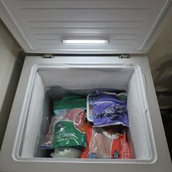 Insignia Compact Freezer