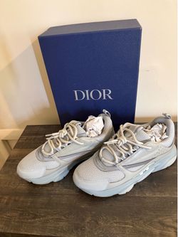 Dior b22