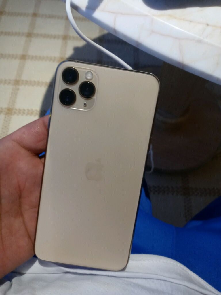 iPhone 11pro max and a life lock case