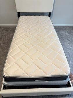 Twin XL Bed Frame, Mattress, & Box Spring