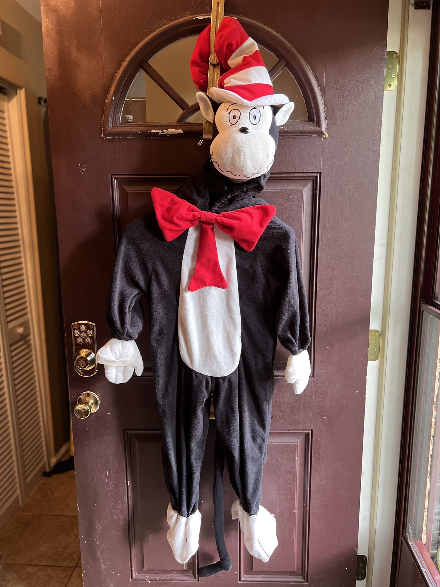 Cat And The Hat Costume 