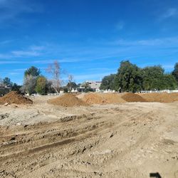 Nice Clean Dirt 