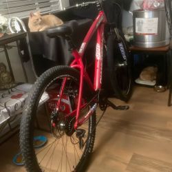 Diamondback Mountain Bike