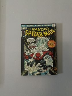 Spider-Man Wall Decor