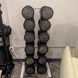Dumbbell Set And Stand.  8lbs To 30lbs. Set In In Kilos. 