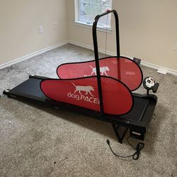 Dog Treadmill