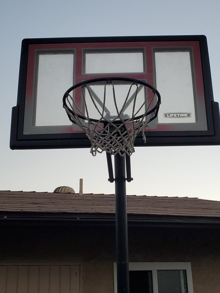 Lifetime Basketball Hoop