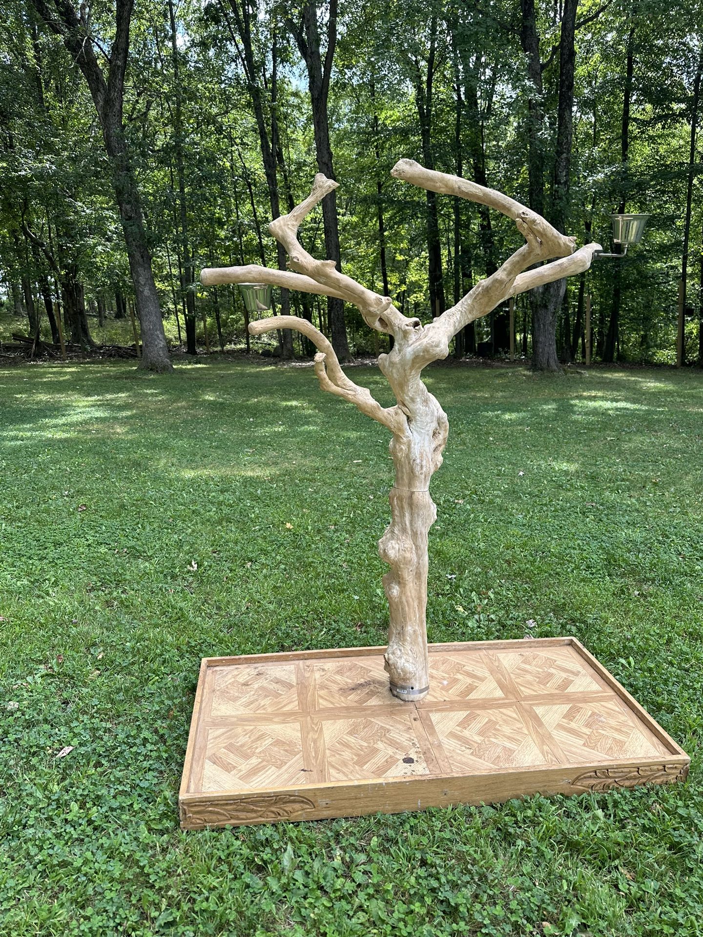 Large Natural Wood Bird Perch Tree