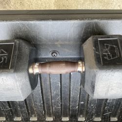 45LB DUMBBELL (1)  $75