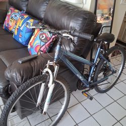 ROAD-MASTER MOUNTAIN-BIKE, $80bucks!