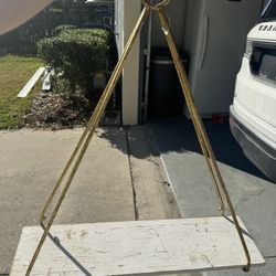 Gold/white Shelf 