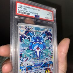 Pokémon Cards