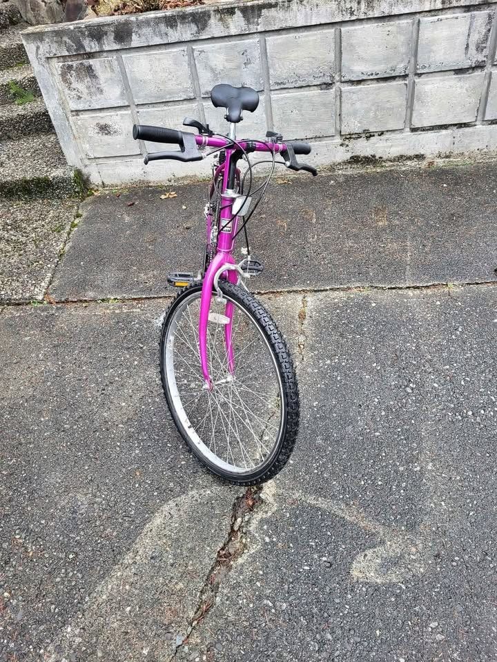 Huffy 10 Speed Expedition