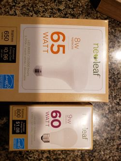 Green Energy Efficient Lightbulbs