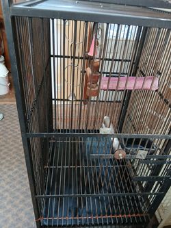 Large freestanding bird cage