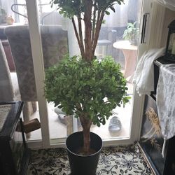 Tall Fake Tree 