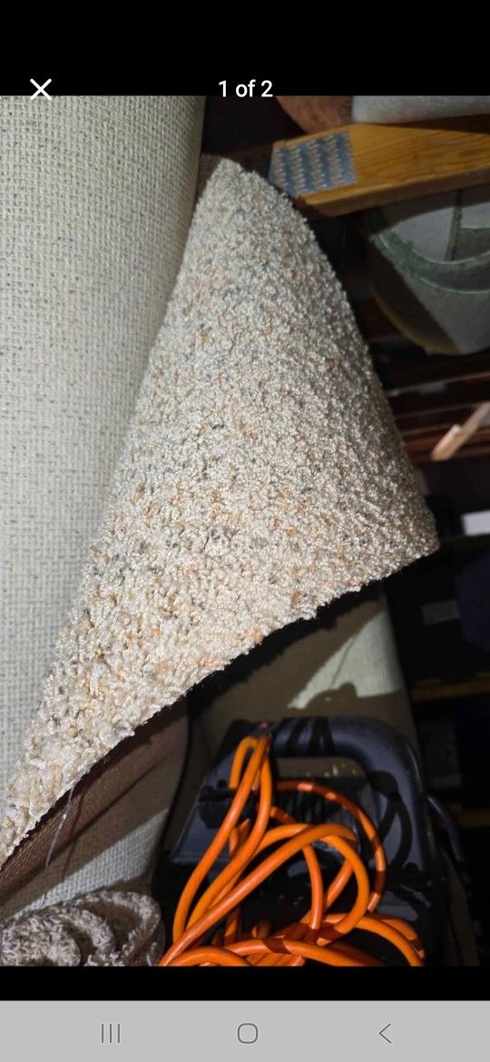 Carpet