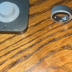Oura Ring 4 Silver Size 8 And 9 