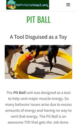Dog play ring