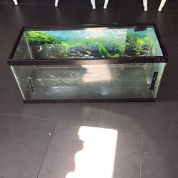 Aquarium 30” Long, 12” Deep, 13” High
