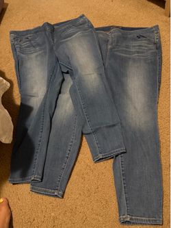 Torrid Pants