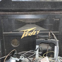 Peavey Speaker