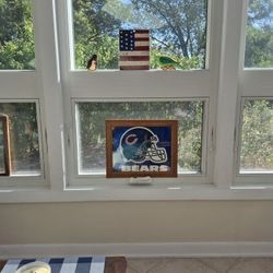 Chicago Bears Picture