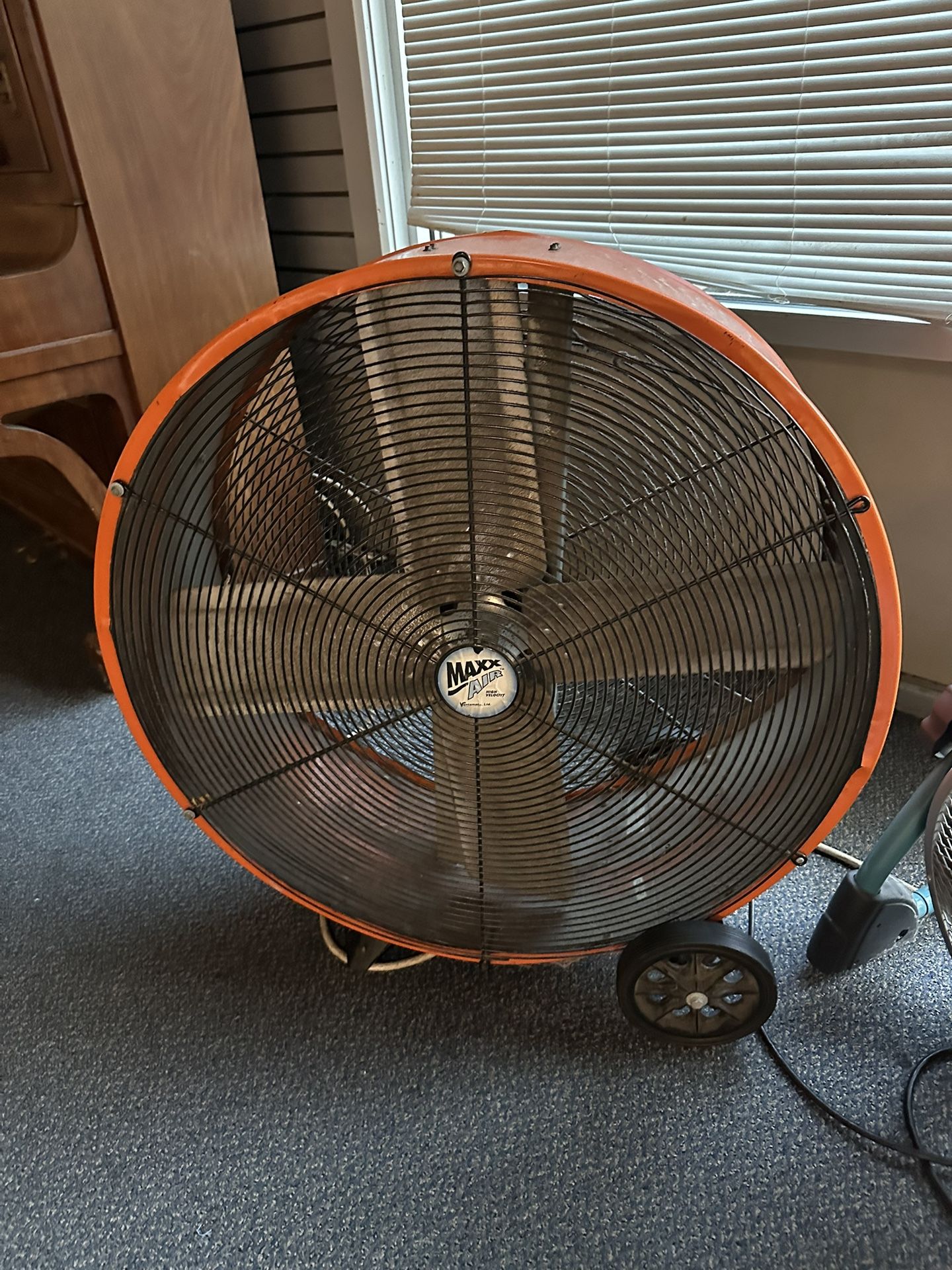 Fans