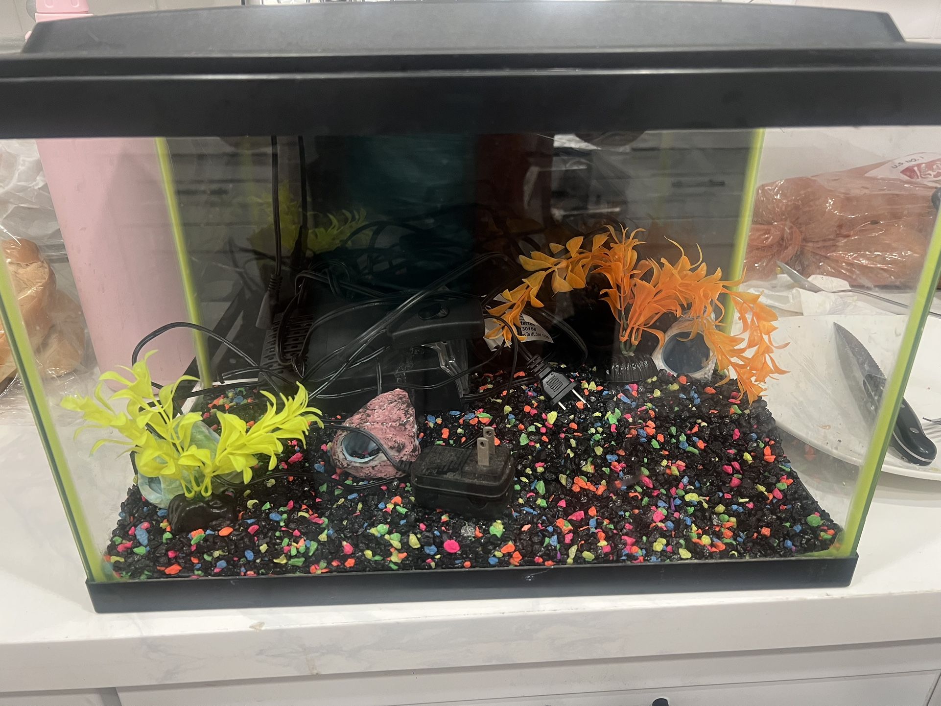 10 Gallon Fish Tank with Lid 