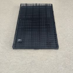 Large Breed Kennel 