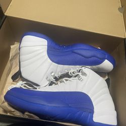 Jordan Blueberry 12s