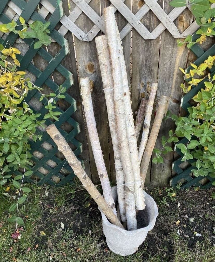 Set Of 8 Decorative White Birch Logs Natural Bark Wood 35-42" In Length Good Condition