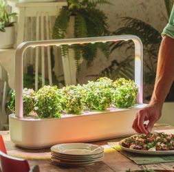 Click Grow Smart Herb Garden