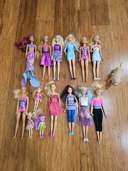 Barbie Doll Lot 14 Dolls Chelsea Mermaid Made To Move Outfits Puppy