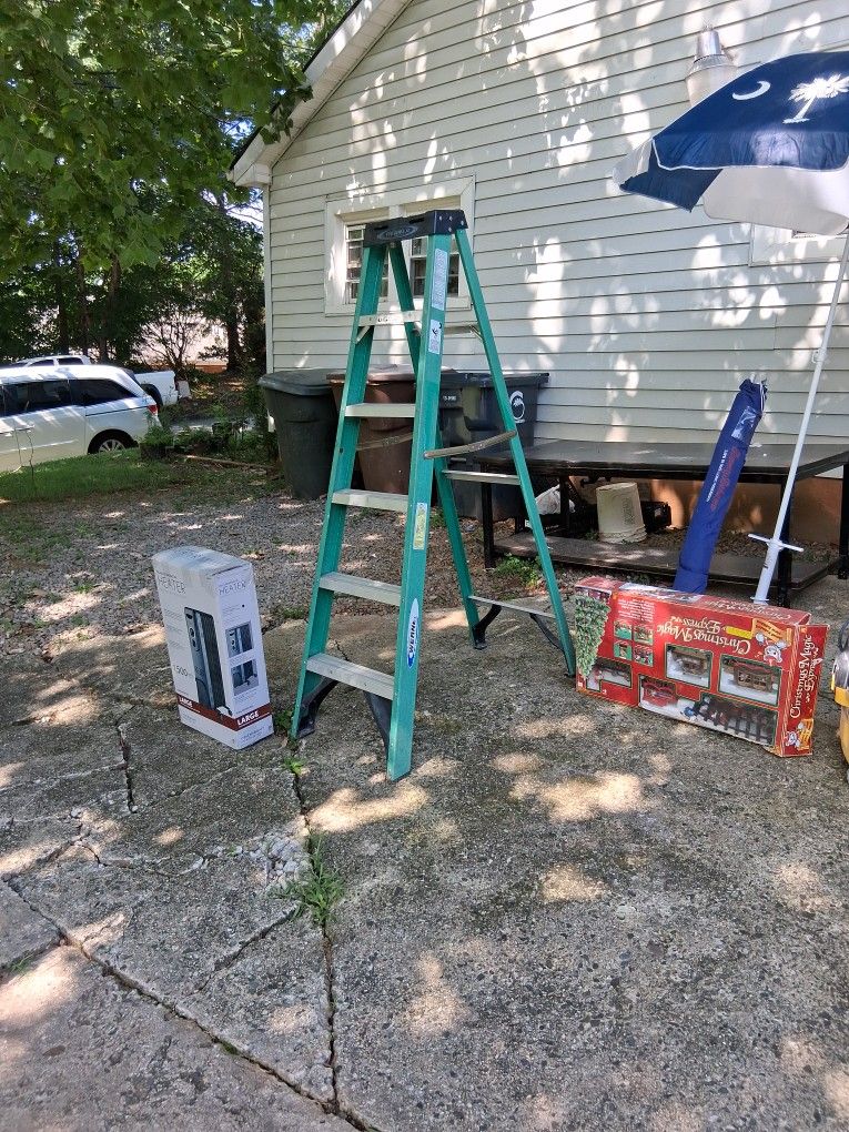 6 Ft Ladder