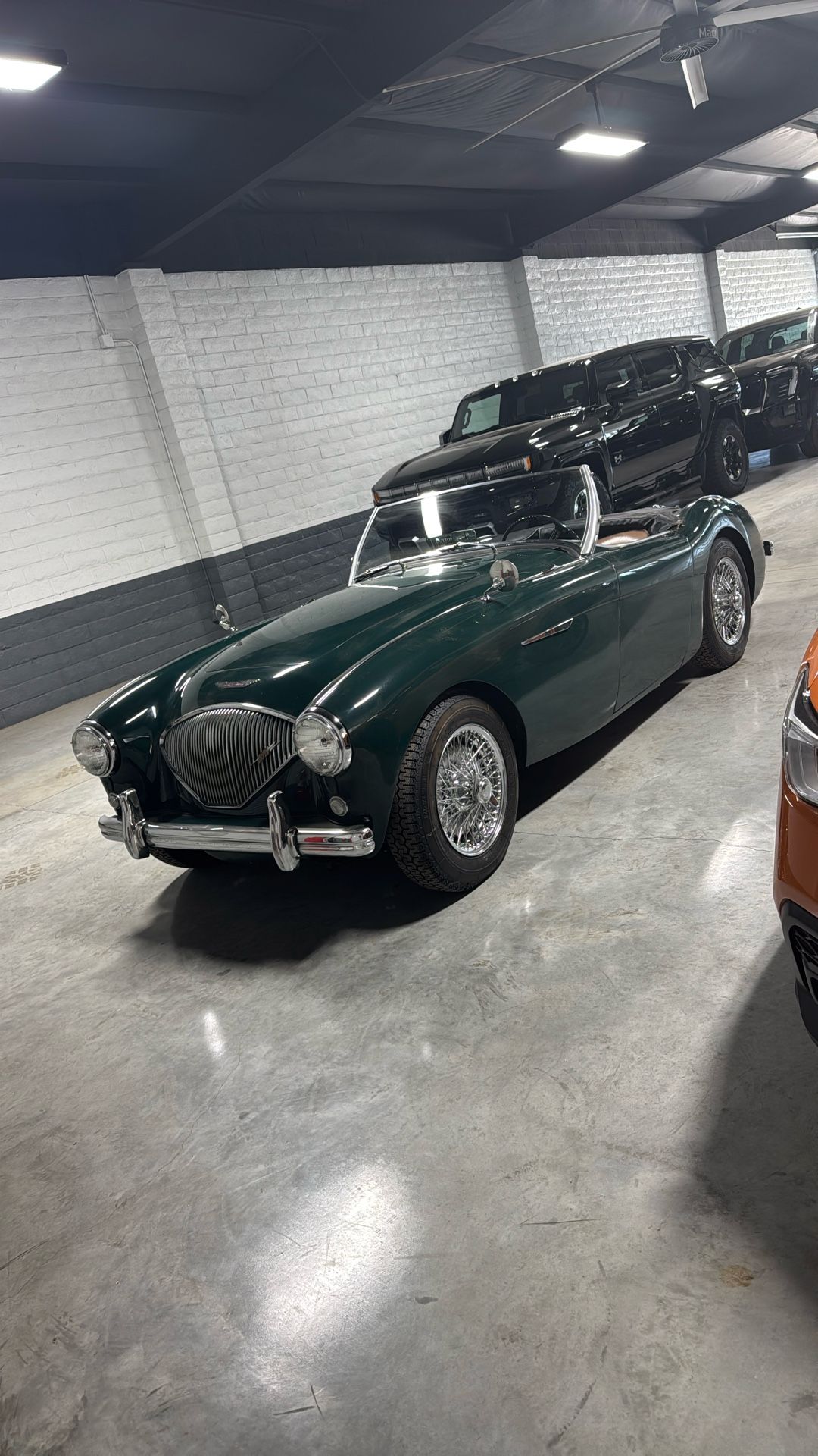 1953 Austin-Healey 100