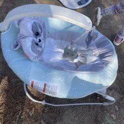 Baby Bouncer 