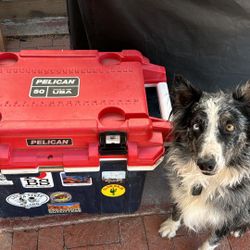 Pelican Cooler 50 Qts