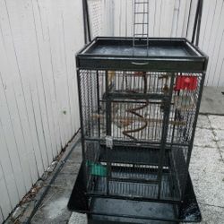 Available, Extra Large Bird Cage