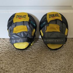 Everlast Evergel Punch Mitts 