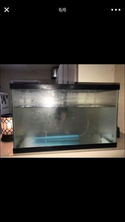 10 Gallon Fish Tank