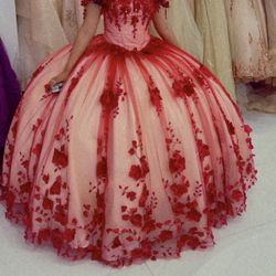 Quinceañera Dress/Vestido