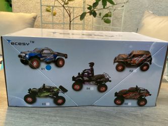 Tecesy RC Off-Road Truck in Box